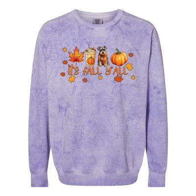 ItS Fall YAll Pumpkin Spice Latte Dog Miniature Schnauzer Funny Gift Colorblast Crewneck Sweatshirt