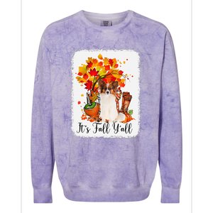 It's Fall Y'all Papillion Dog Halloween Thanksgiving Colorblast Crewneck Sweatshirt