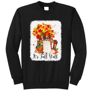 It's Fall Y'all Papillion Dog Halloween Thanksgiving Sweatshirt