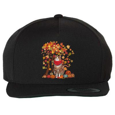 ItS Fall YAll Cat Leaf Fall Tree Hello Autumn Thanksgiving Wool Snapback Cap