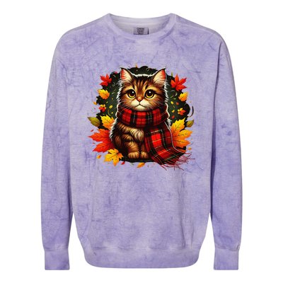 ItS Fall YAll Cat Leaf Fall Tree Hello Autumn Thanksgiving Colorblast Crewneck Sweatshirt