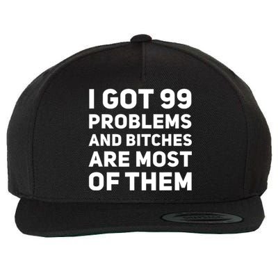 I Got 99 Problems And Bitches Are Most Of Them Funny Print Wool Snapback Cap