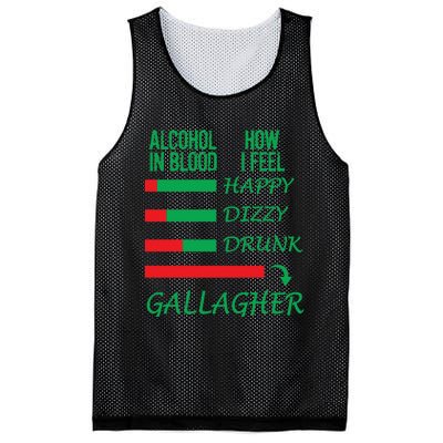 Irish Gallagher & Alcohol St Patrick Day Apparel Design Gift Long Sleeve Mesh Reversible Basketball Jersey Tank