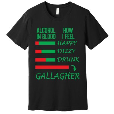 Irish Gallagher & Alcohol St Patrick Day Apparel Design Gift Long Sleeve Premium T-Shirt