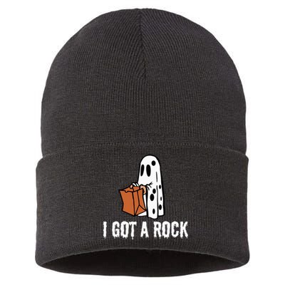 I Got A Rock Halloween Sustainable Knit Beanie