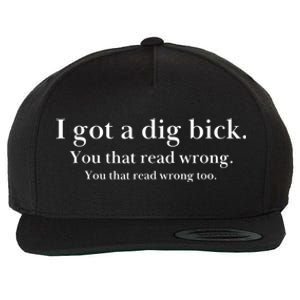 I Got A Dig Bick You That Read Wrong Too Wool Snapback Cap