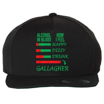 Irish Gallagher & Alcohol St Patrick Day Apparel Design Gift Wool Snapback Cap