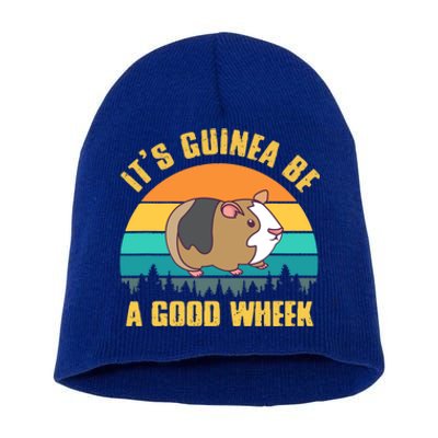 ItS Guinea Be A Good Wheek Guinea Pig Piggy Gift Short Acrylic Beanie