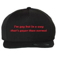 IM Gay But In A Way ThatS Gayer Than Normal Wool Snapback Cap