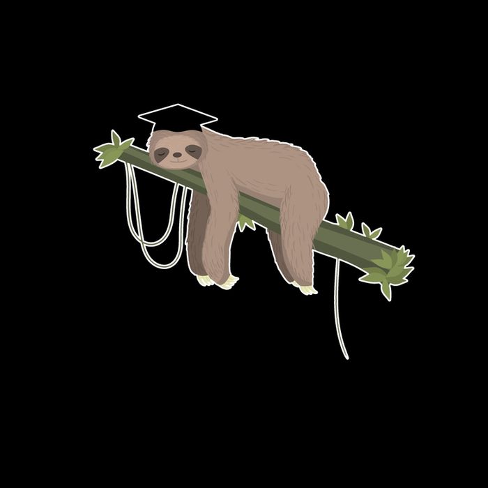 I Graduated Can I Go Back To Bed Now Sloth Mug