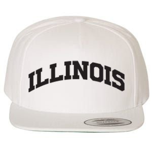 Illinois Gift College University Text Sports Design Wool Snapback Cap