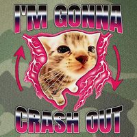IM Gonna Crash Out Funny Cat Meme Lover Humorous Sarcastic Legacy Tie Dye Trucker Hat