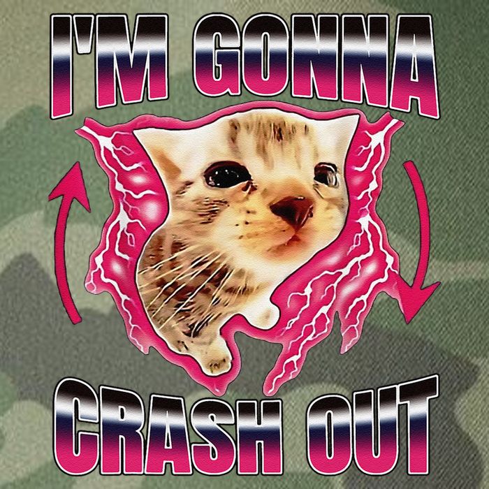 IM Gonna Crash Out Funny Cat Meme Lover Humorous Sarcastic Legacy Tie Dye Trucker Hat