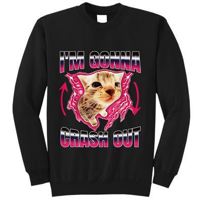 IM Gonna Crash Out Funny Cat Meme Lover Humorous Sarcastic Sweatshirt