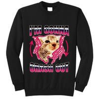 IM Gonna Crash Out Funny Cat Meme Lover Humorous Sarcastic Sweatshirt