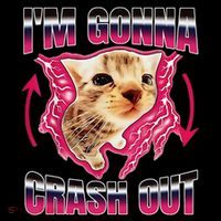 IM Gonna Crash Out Funny Cat Meme Lover Humorous Sarcastic City Backpack