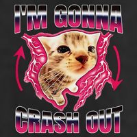 IM Gonna Crash Out Funny Cat Meme Lover Humorous Sarcastic Adult Drive Performance Visor