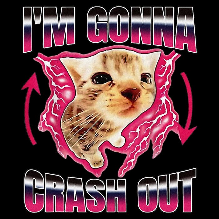 IM Gonna Crash Out Funny Cat Meme Lover Humorous Sarcastic Drawstring Bag