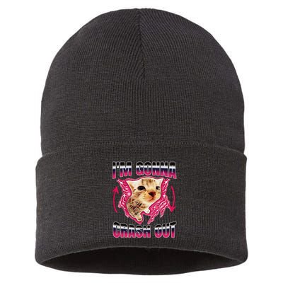 IM Gonna Crash Out Funny Cat Meme Lover Humorous Sarcastic Sustainable Knit Beanie