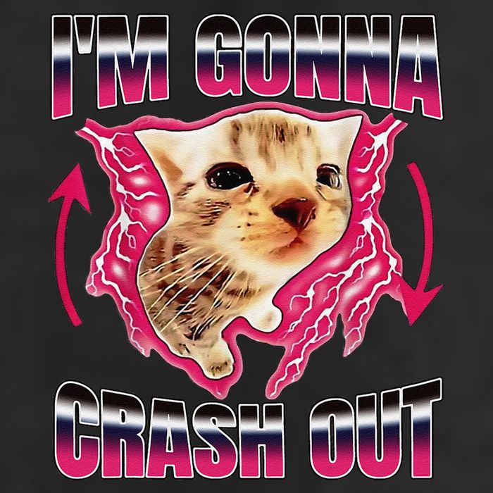 IM Gonna Crash Out Funny Cat Meme Lover Humorous Sarcastic 25L Jumbo Tote