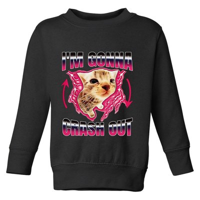 IM Gonna Crash Out Funny Cat Meme Lover Humorous Sarcastic Toddler Sweatshirt