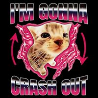 IM Gonna Crash Out Funny Cat Meme Lover Humorous Sarcastic Wool Snapback Cap