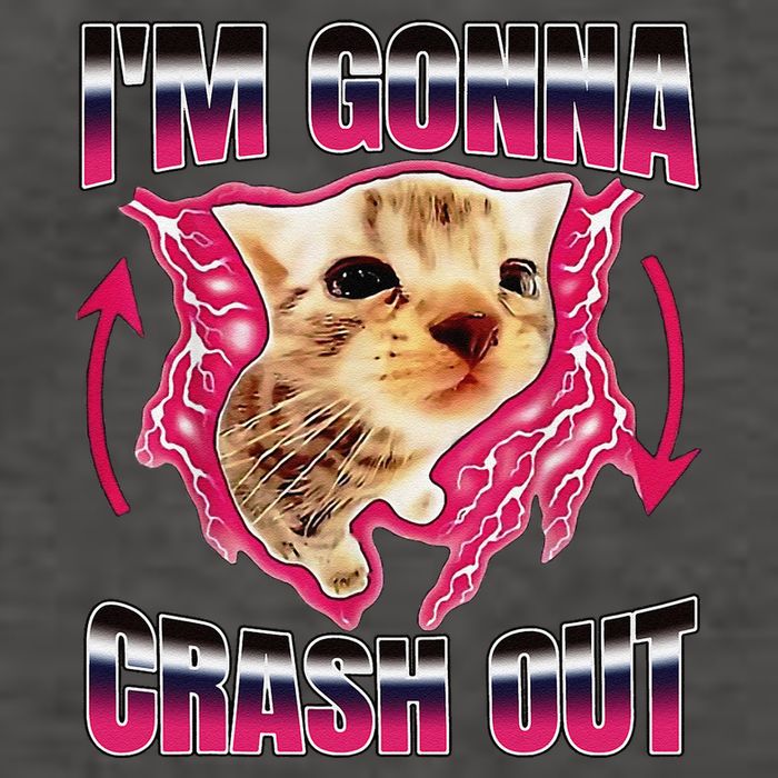 IM Gonna Crash Out Funny Cat Meme Lover Humorous Sarcastic Vector Backpack
