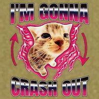 IM Gonna Crash Out Funny Cat Meme Lover Humorous Sarcastic Garment-Dyed Women's Muscle Tee
