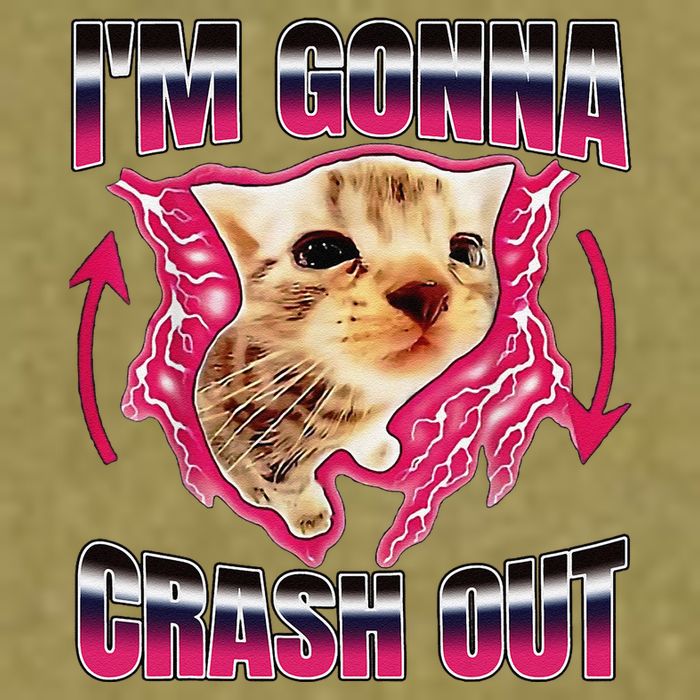 IM Gonna Crash Out Funny Cat Meme Lover Humorous Sarcastic Garment-Dyed Women's Muscle Tee