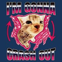 IM Gonna Crash Out Funny Cat Meme Lover Humorous Sarcastic Infant Baby Jersey Bodysuit