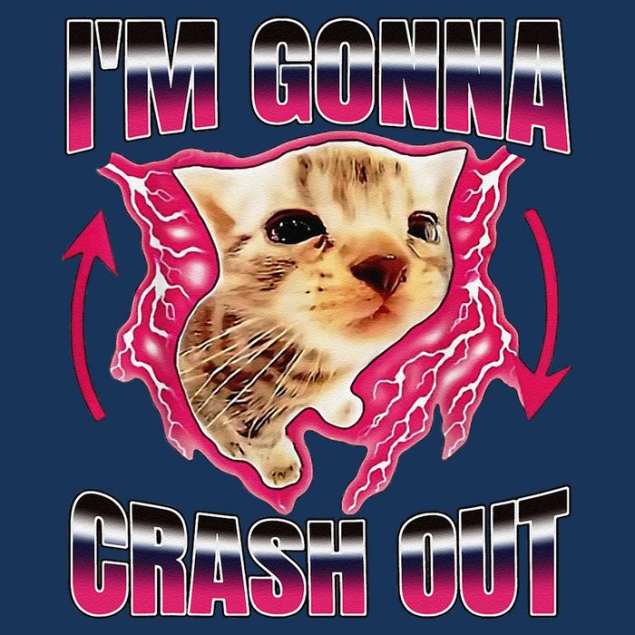 IM Gonna Crash Out Funny Cat Meme Lover Humorous Sarcastic Infant Baby Jersey Bodysuit
