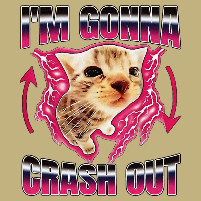 IM Gonna Crash Out Funny Cat Meme Lover Humorous Sarcastic Performance Shirt