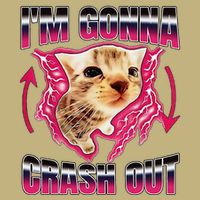 IM Gonna Crash Out Funny Cat Meme Lover Humorous Sarcastic T-Shirt