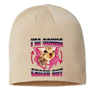 IM Gonna Crash Out Funny Cat Meme Lover Humorous Sarcastic Sustainable Beanie
