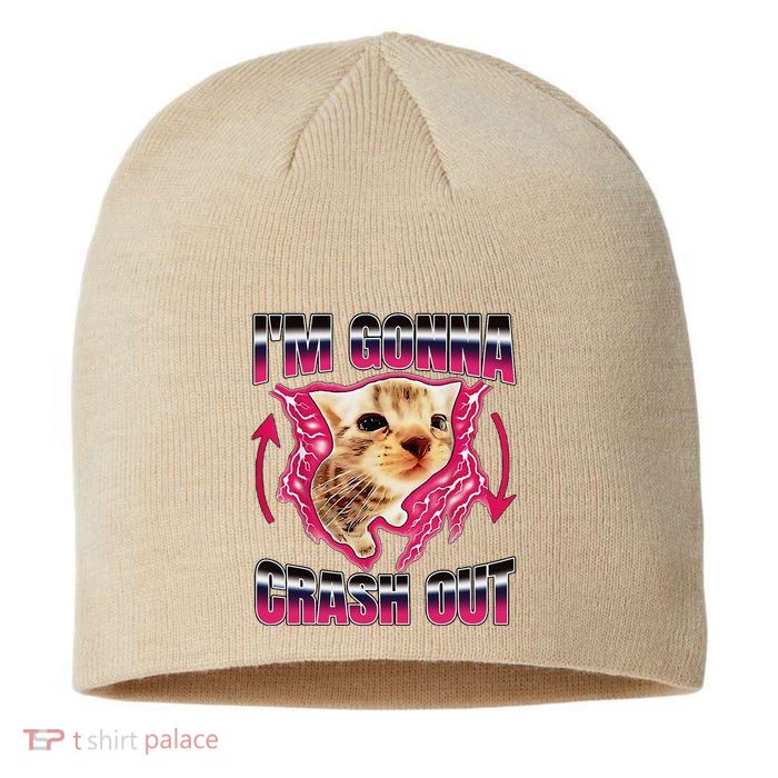 IM Gonna Crash Out Funny Cat Meme Lover Humorous Sarcastic Sustainable Beanie