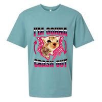IM Gonna Crash Out Funny Cat Meme Lover Humorous Sarcastic Sueded Cloud Jersey T-Shirt