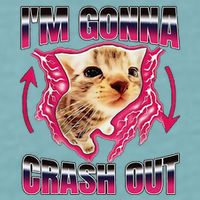 IM Gonna Crash Out Funny Cat Meme Lover Humorous Sarcastic Sueded Cloud Jersey T-Shirt