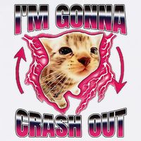 IM Gonna Crash Out Funny Cat Meme Lover Humorous Sarcastic Garment-Dyed Sweatshirt