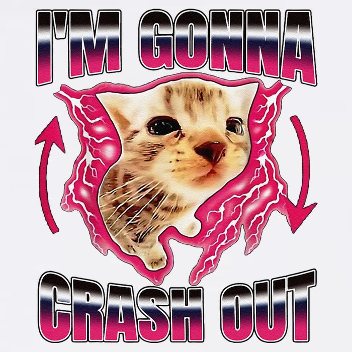IM Gonna Crash Out Funny Cat Meme Lover Humorous Sarcastic Garment-Dyed Sweatshirt