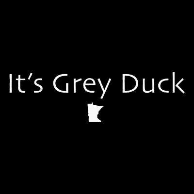ItS Grey Duck Funny Minnesota Gift Gray Mn Nice T-Shirt