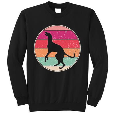 Intage Greyhound Dog Retro Pet Lover Dog Mom Distressed Sweatshirt