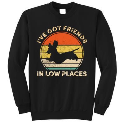 IVe Got Friends In Low Places Funny Dachshund Wiener Dog Sweatshirt