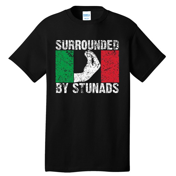 Italian Gift For Cool Surrounded By Stunads Tall T-Shirt