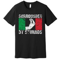 Italian Gift For Cool Surrounded By Stunads Premium T-Shirt