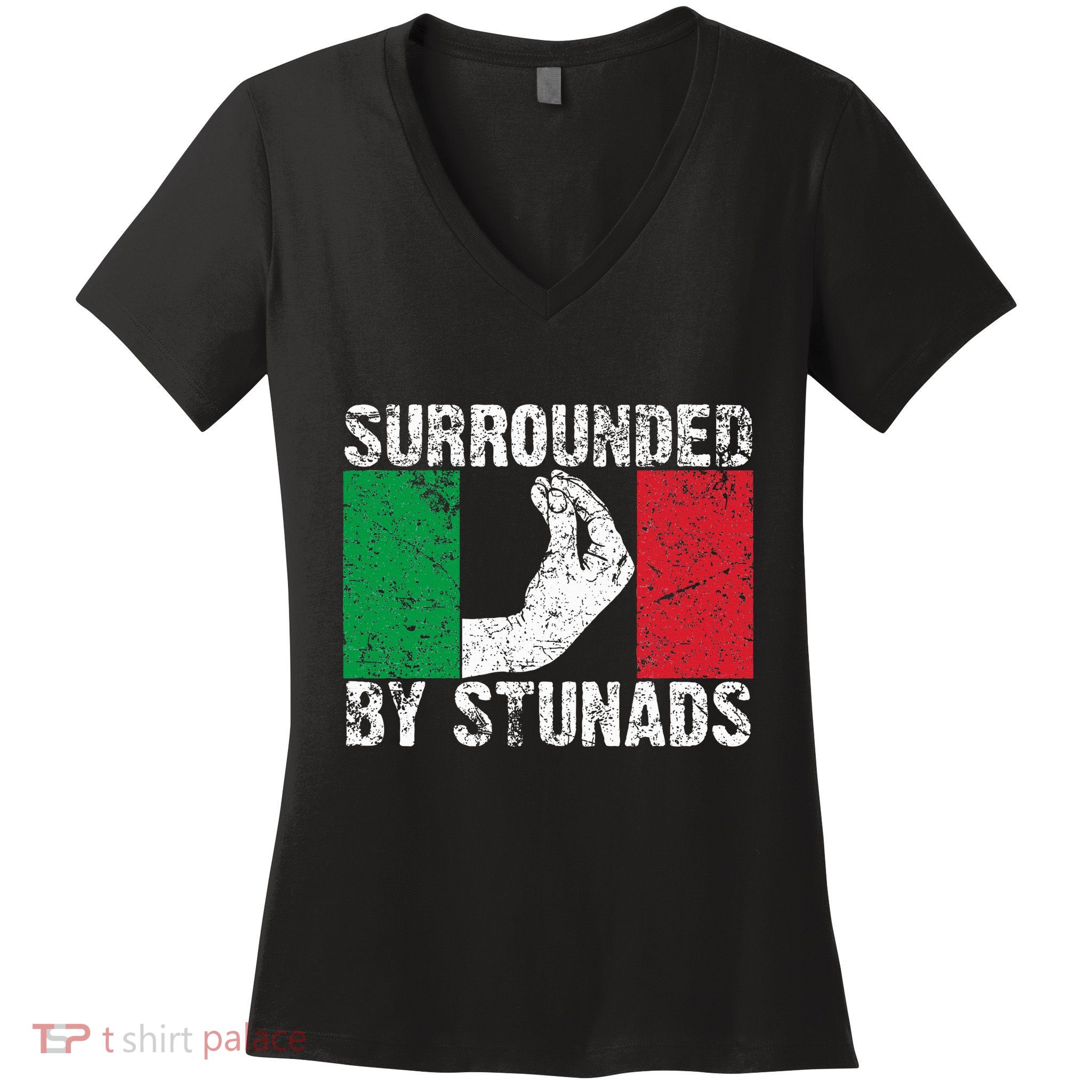 Italian Gift For Cool Surrounded By Stunads Women's V-Neck T-Shirt