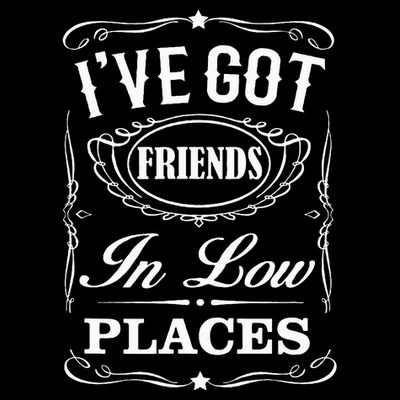 I've Got Friends In Low Places Country Music T-Shirt