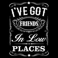 I've Got Friends In Low Places Country Music T-Shirt
