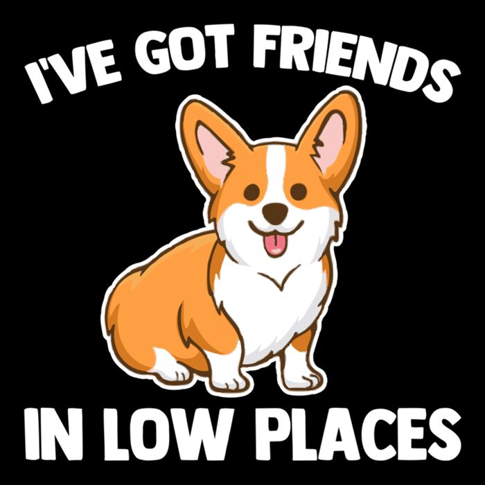 I've Got Friends In Low Places Gift Funny Corgi Owner Dog Corgi Gift City Backpack