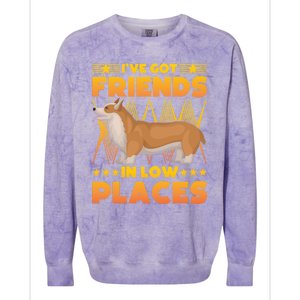 I've Got Friends In Low Places Corgi Gift Colorblast Crewneck Sweatshirt