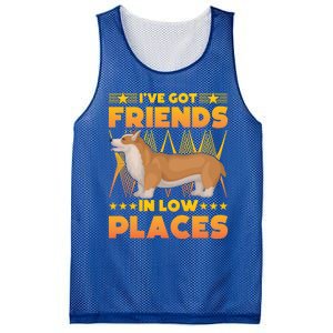 I've Got Friends In Low Places Corgi Gift Mesh Reversible Basketball Jersey Tank